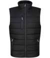 RG445 TRA892 Regatta Navigate Thermal Bodywarmer Black / Seal Grey colour image